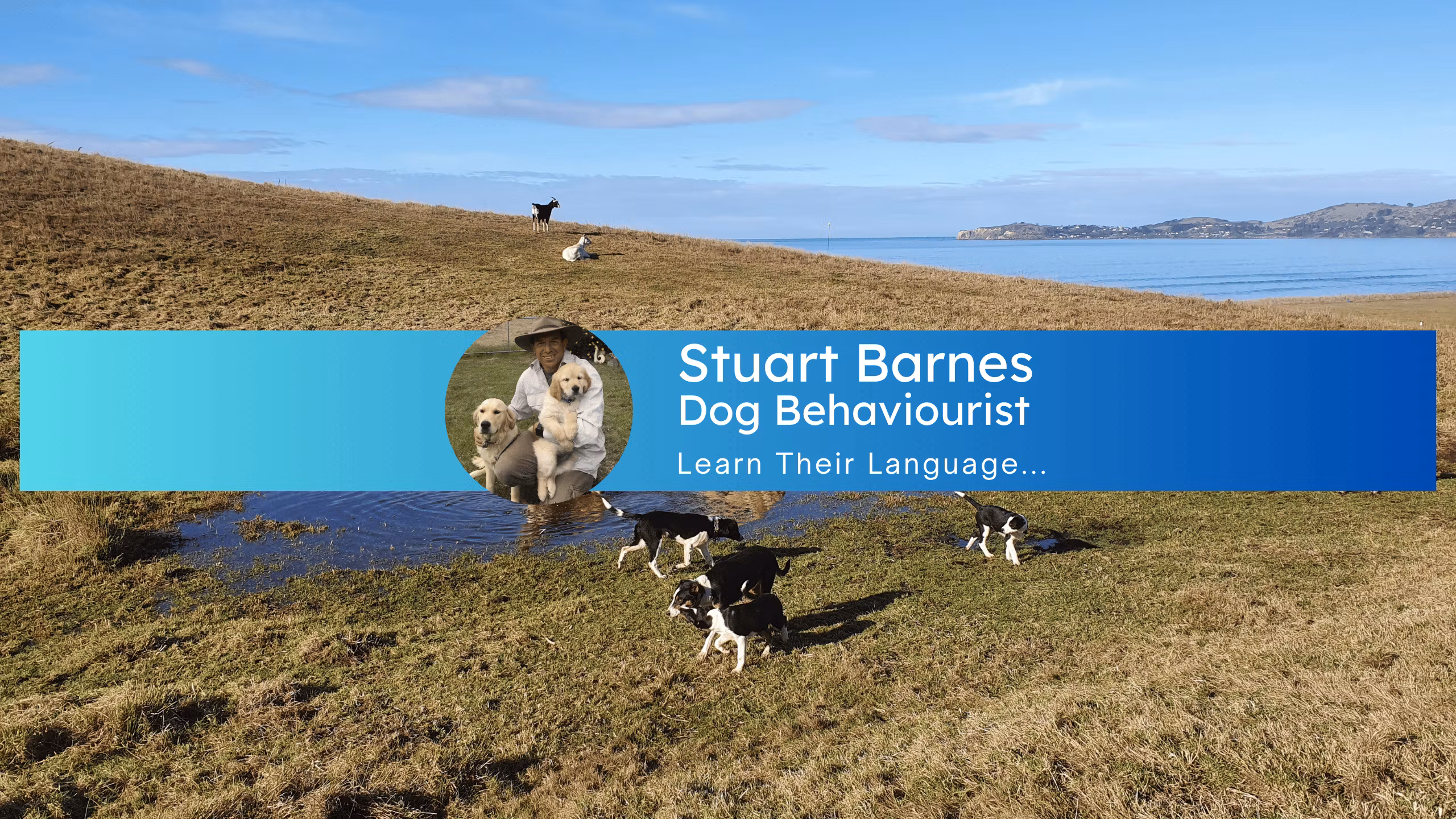 Stuart Barnes Dog Behaviourist