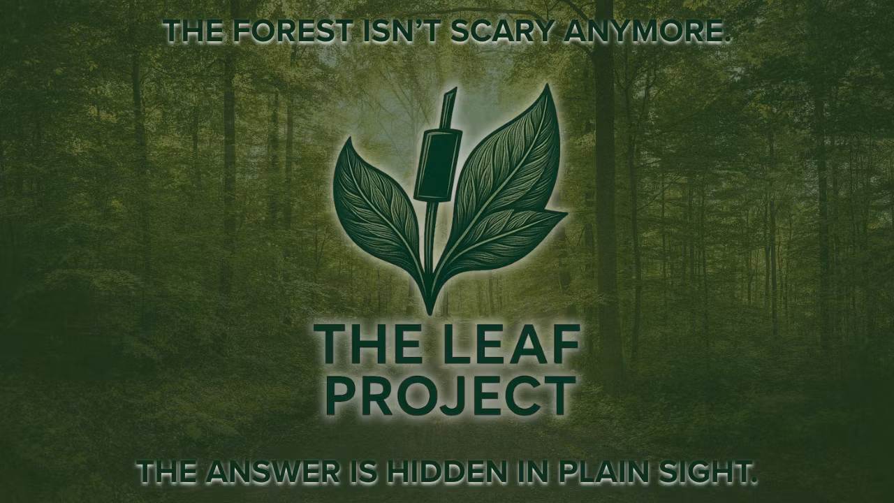 The LeaF Project