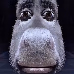 scopyx
