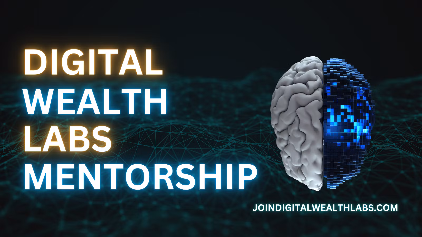 Digital Wealth Labs