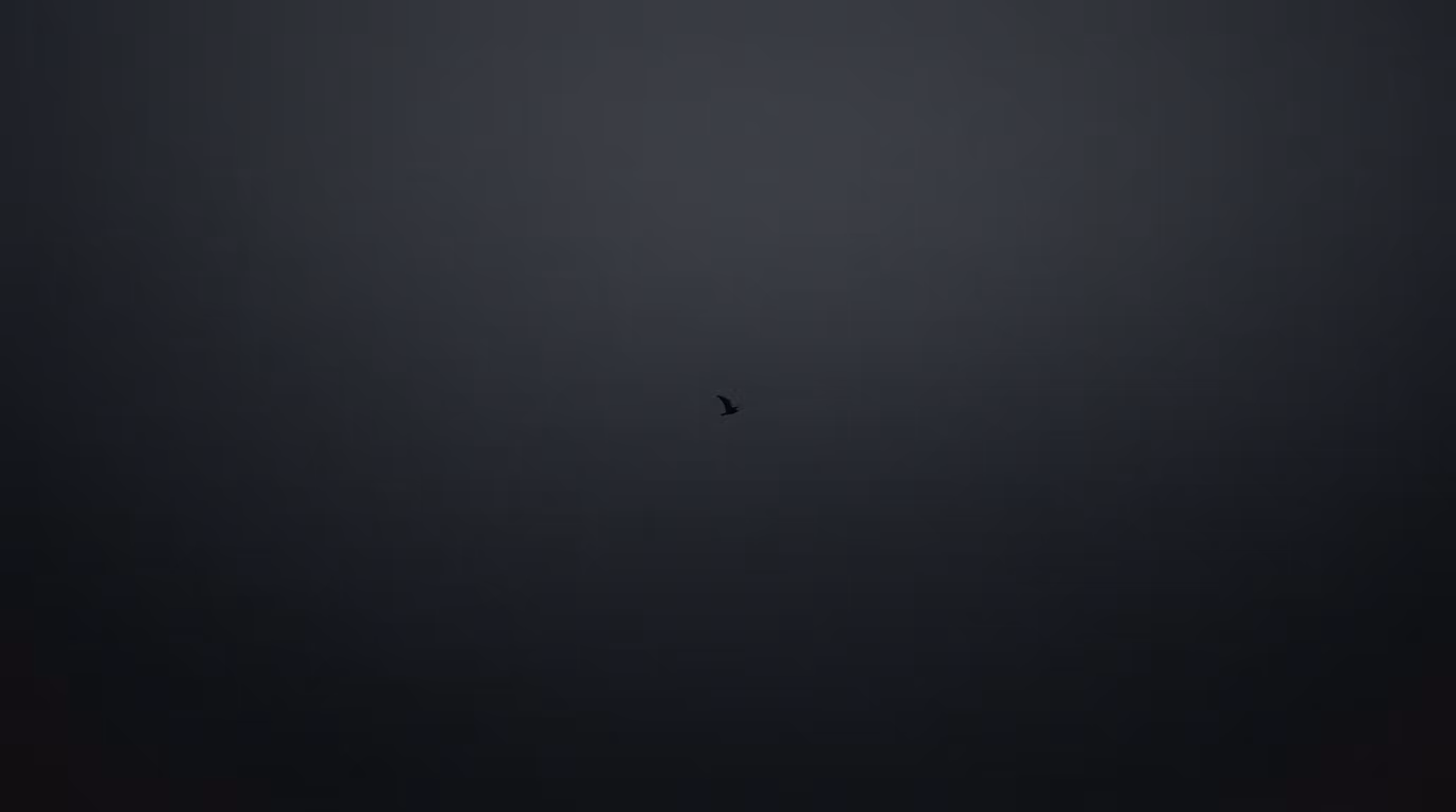 Blackbird