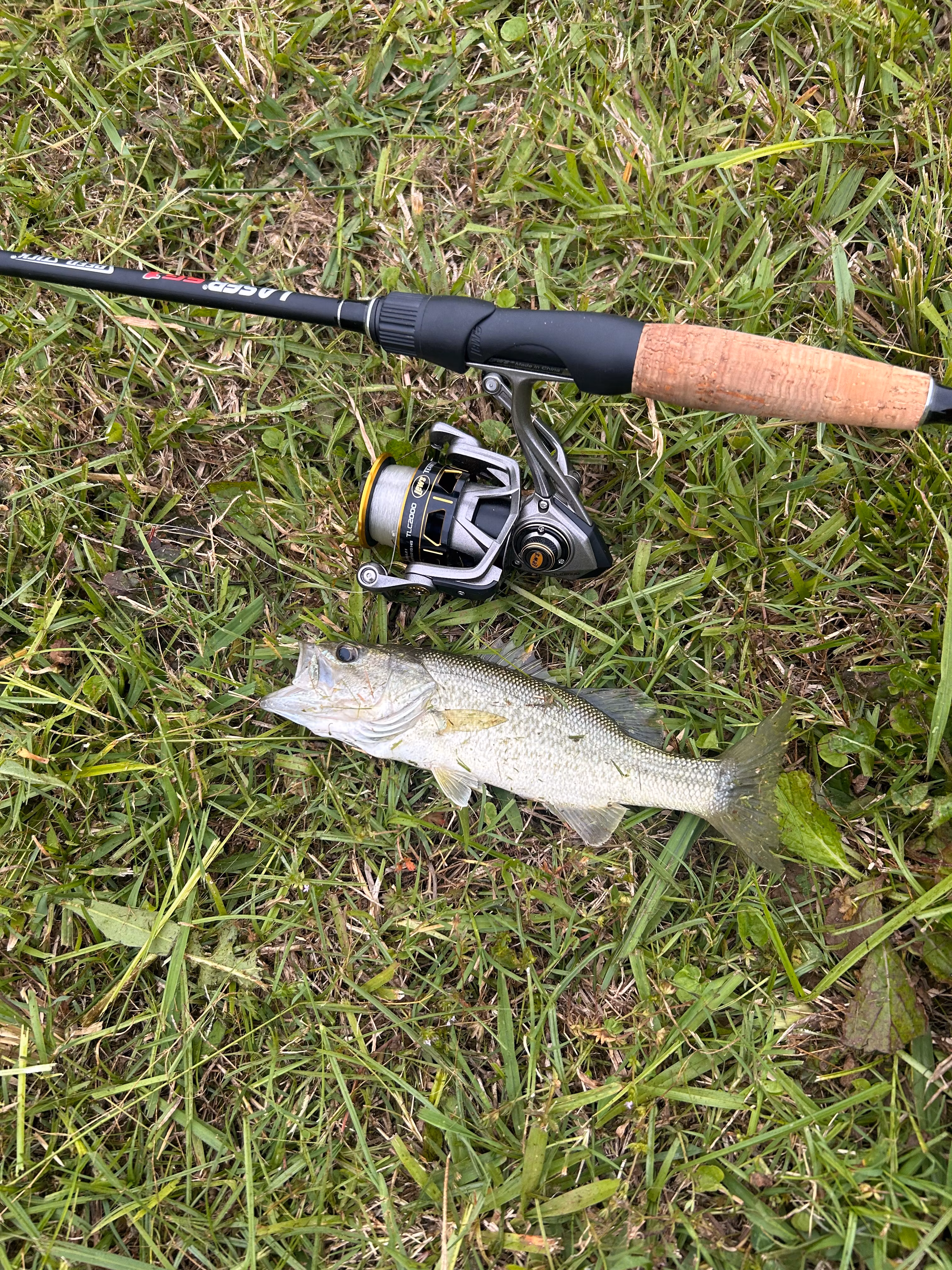 Blayne’s tackle 