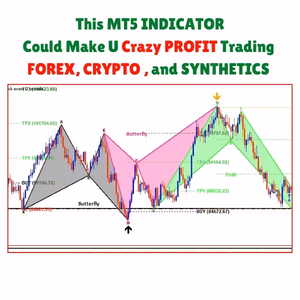 HSM TRADERS ACADEMY