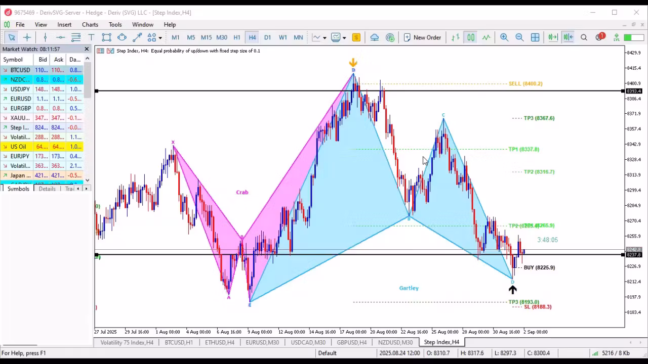 HSM MT5 Indicator STRATEGY