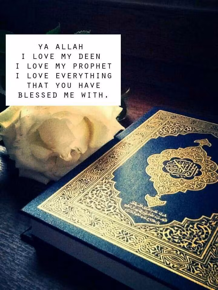 Halal Reads
