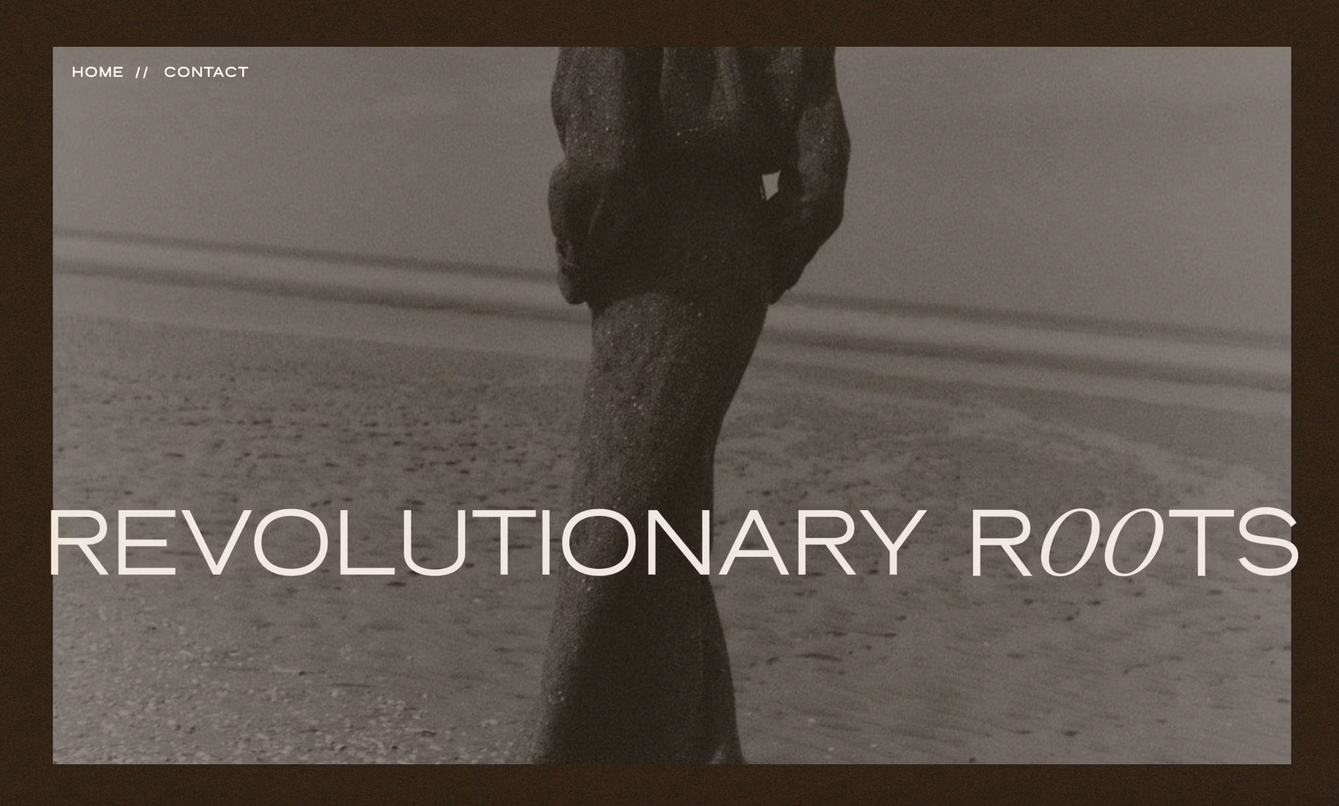 Revolutionary Roots Consulting