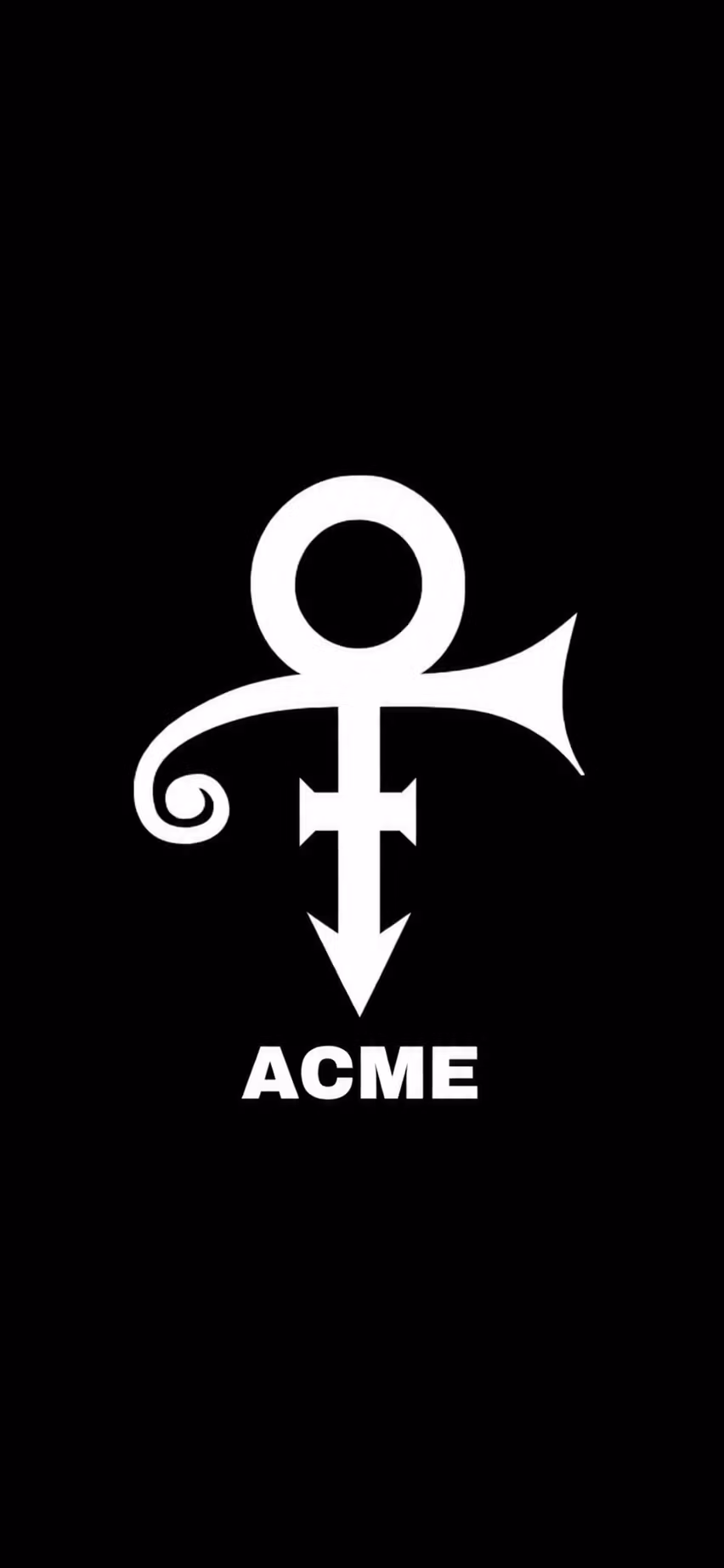 Acme level 2 beginner