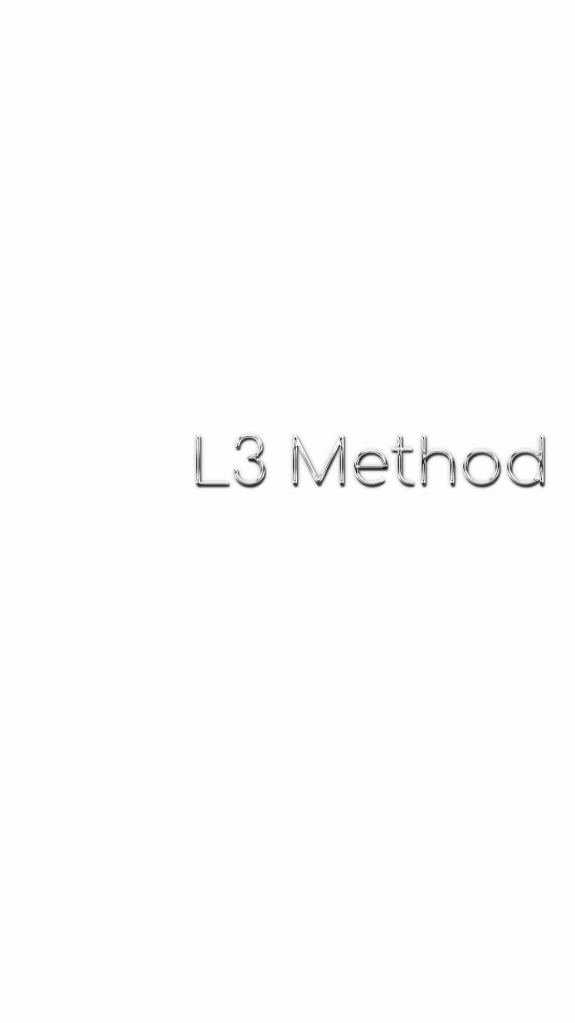 L3 VIP