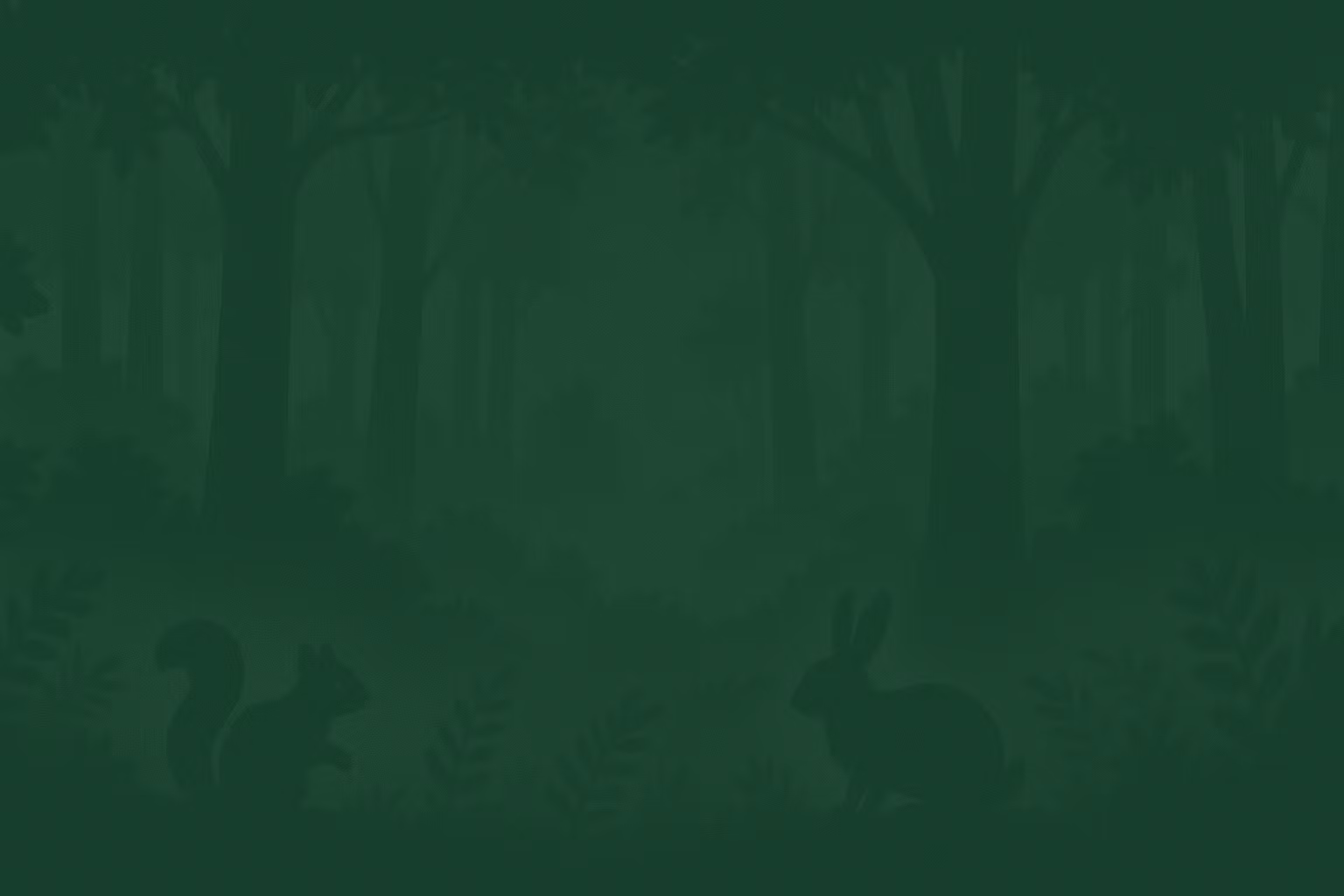 Bonfire_Notion
