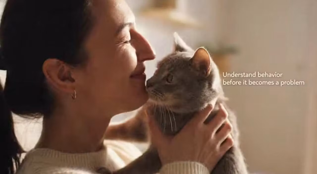 Raise a Happy, Healthy Cat (Even If You’re a Beginner)-Limited-time launch price