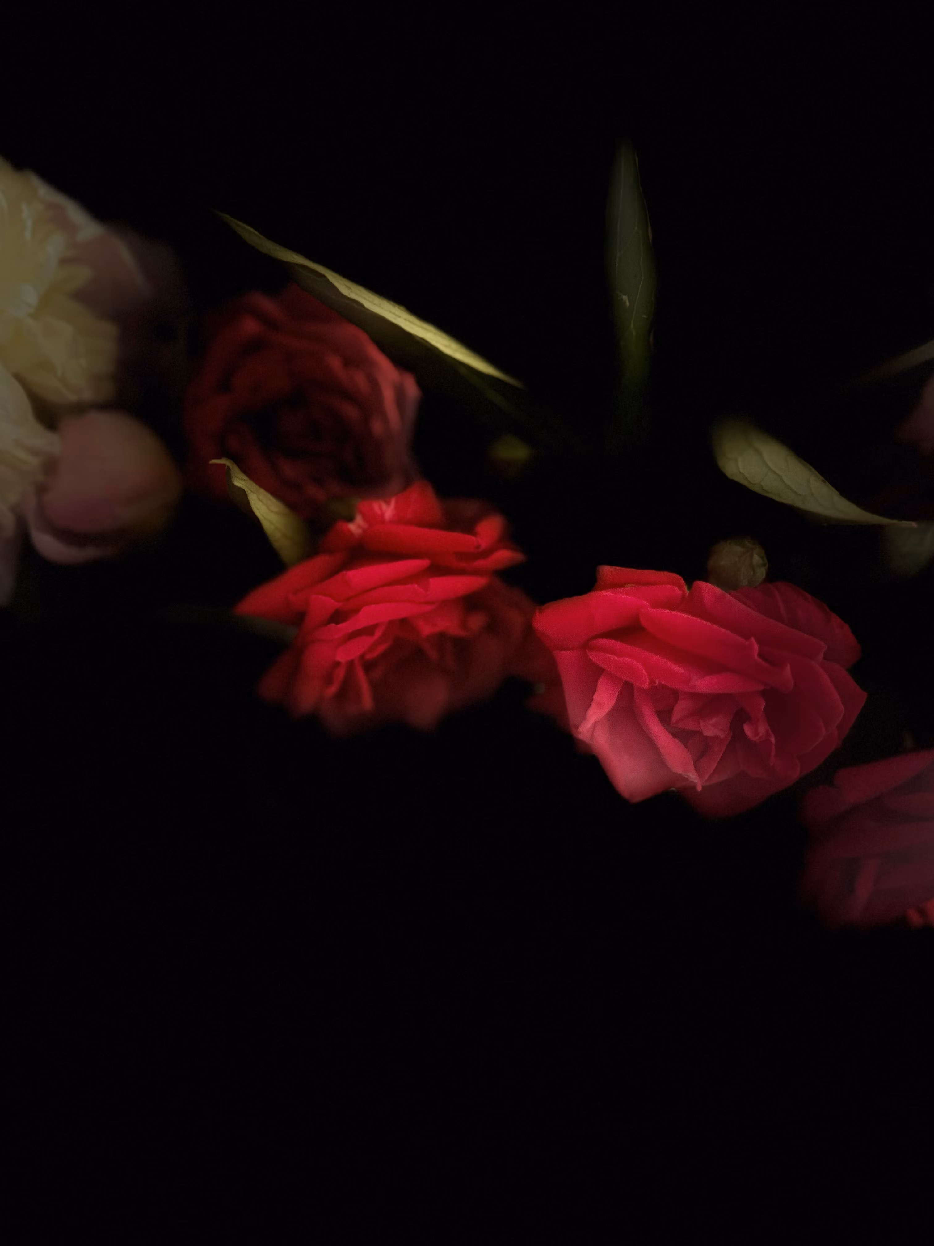 Photo DESIGN