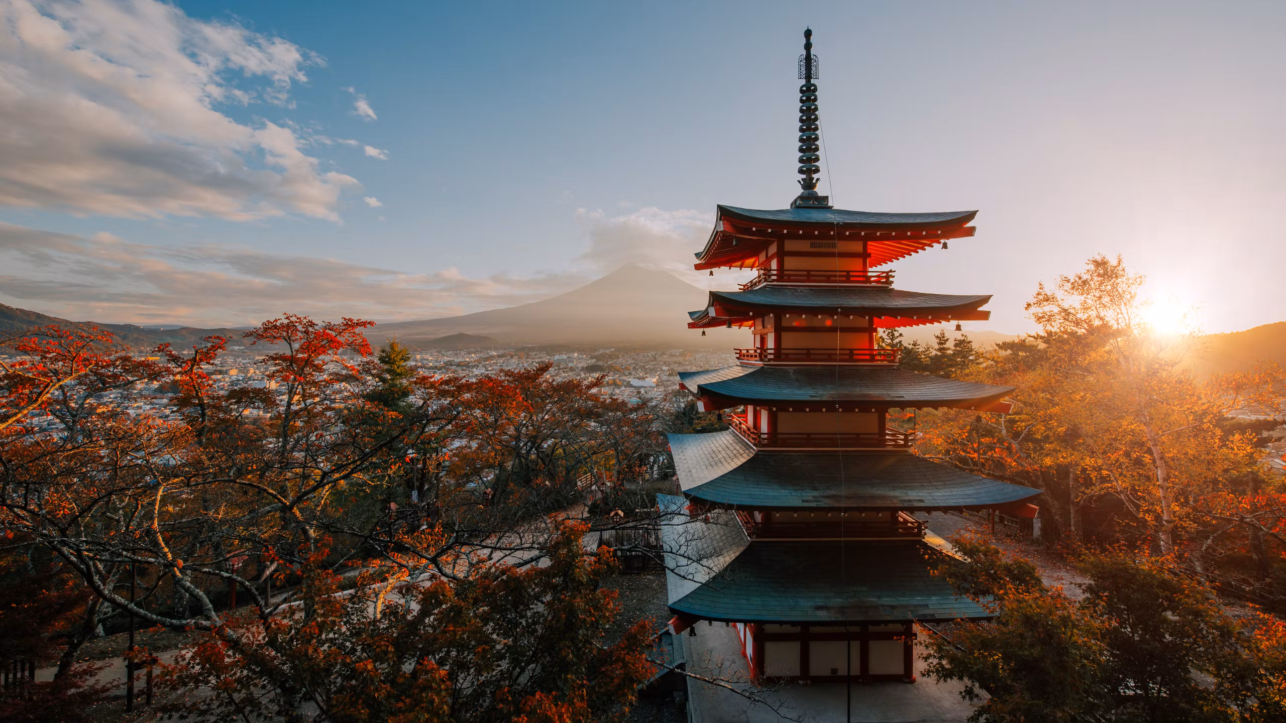 AMIDA CLAN | 阿弥陀家