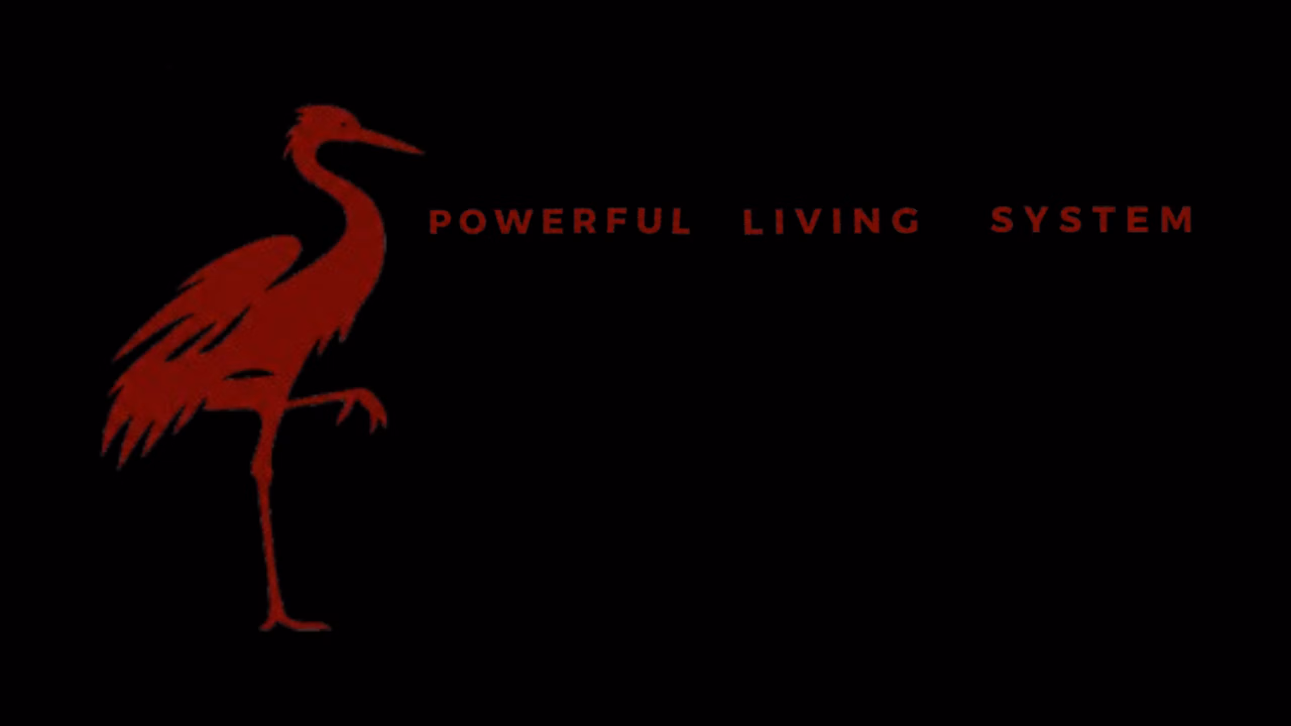 Powerful Living System