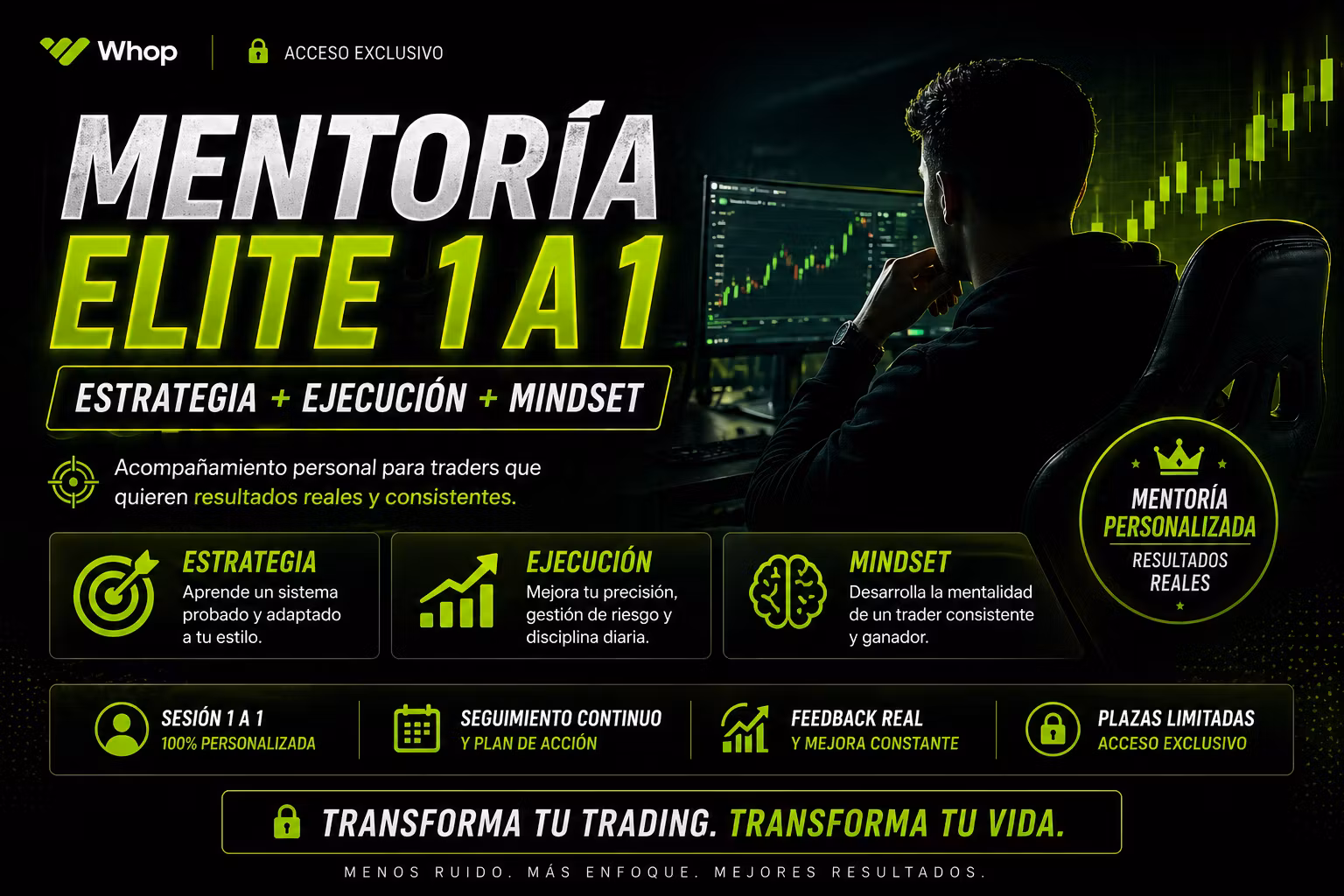 Mentoría Elite 1 a 1 