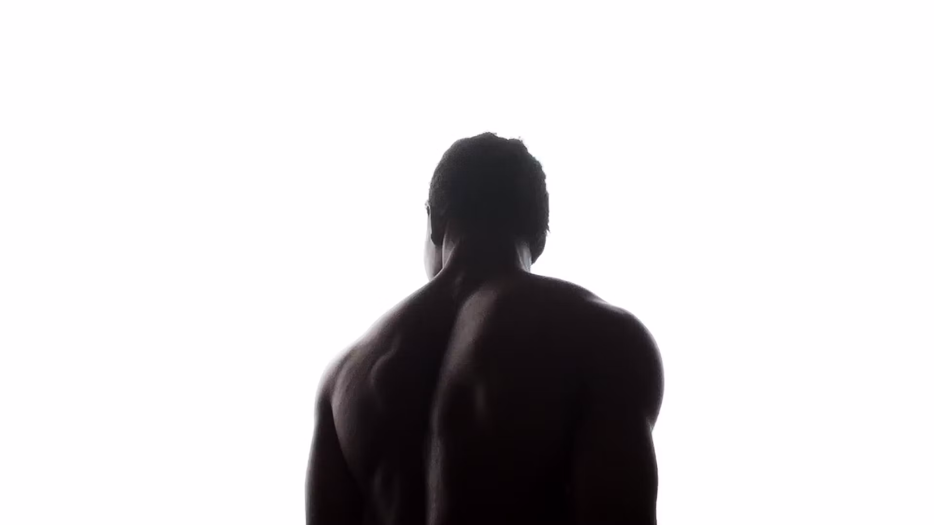 The Aesthetic Blueprint
