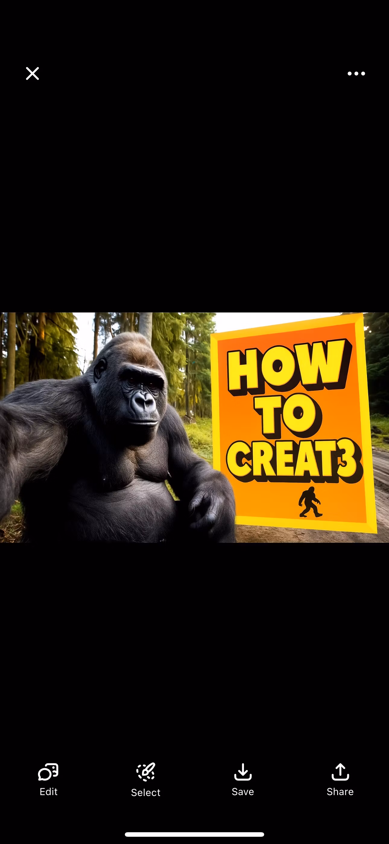 HOW TO…