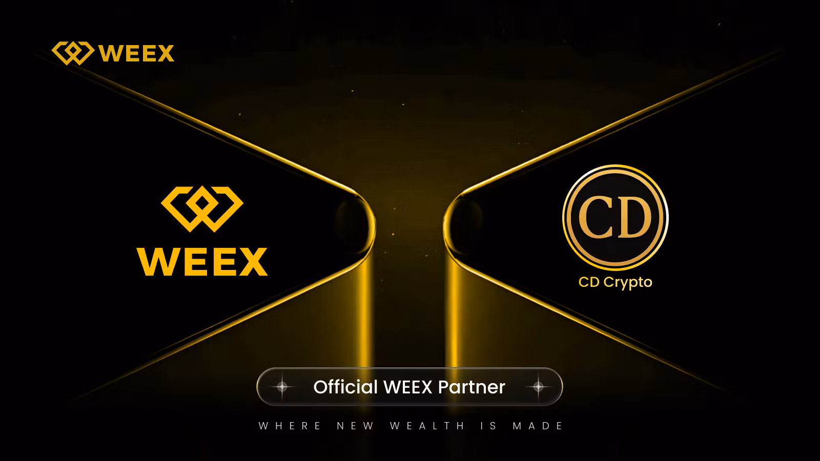 WEEX Trading Setups