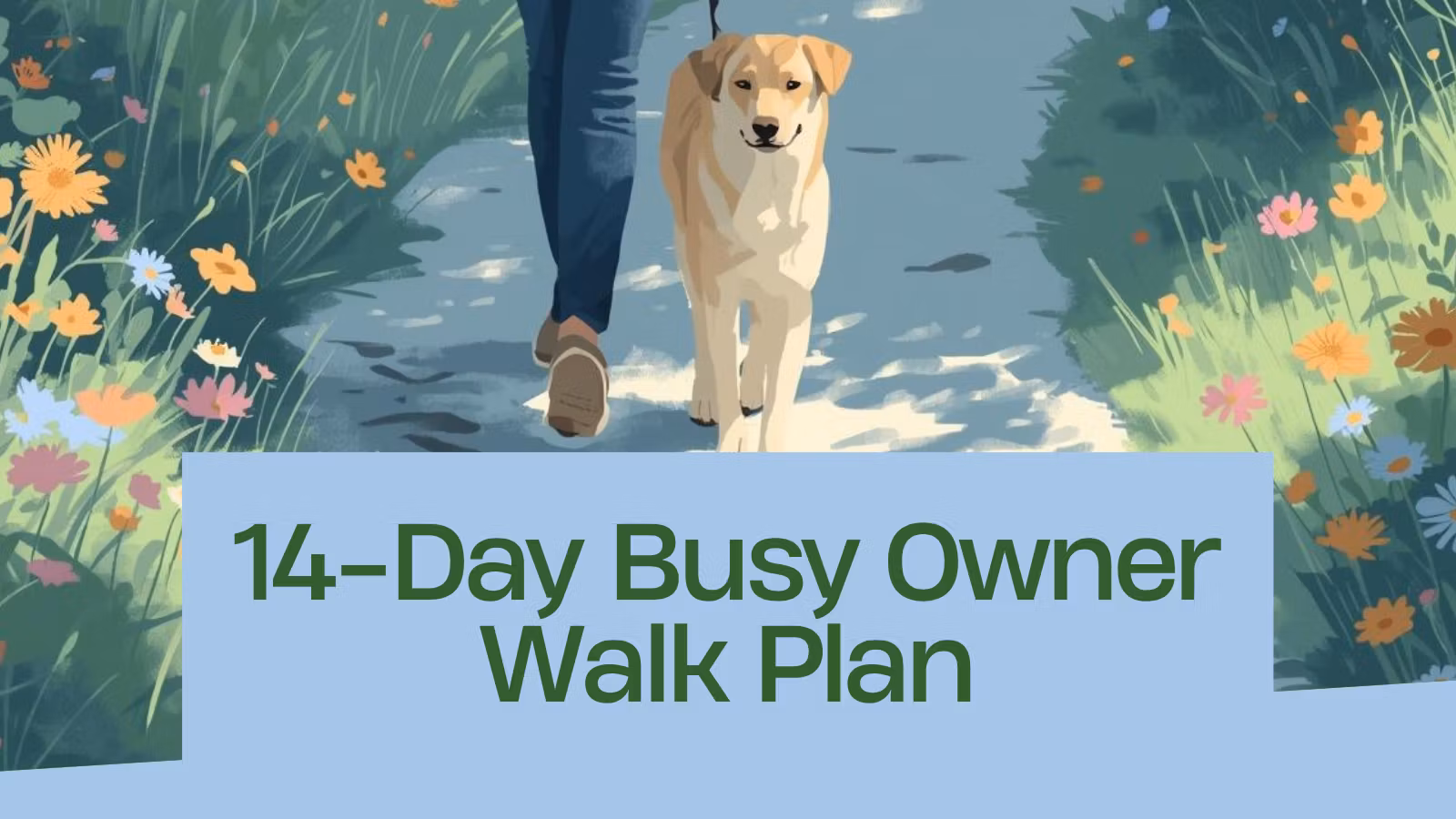 14-Day Busy Owner Walk Plan