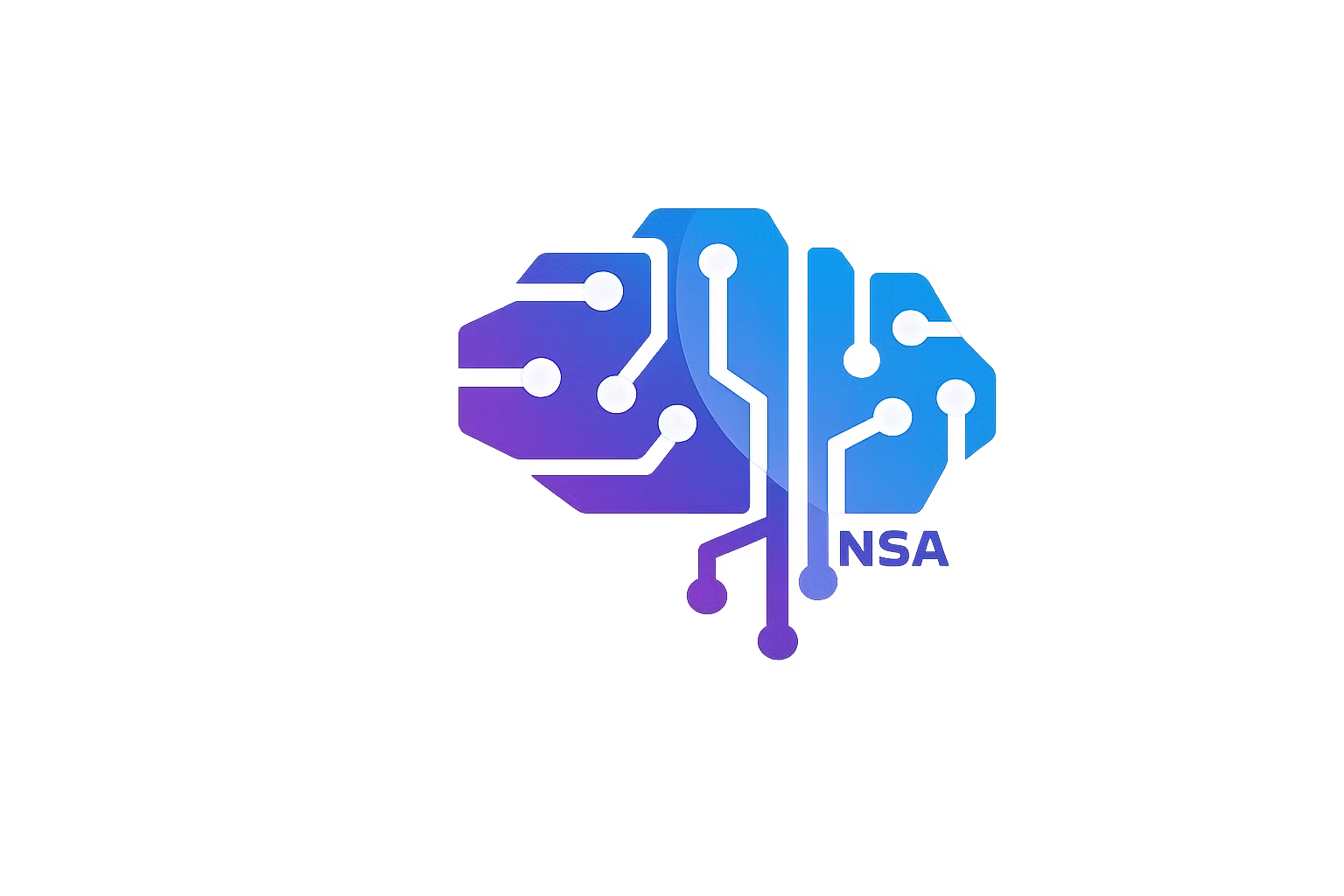 NSA Decision System