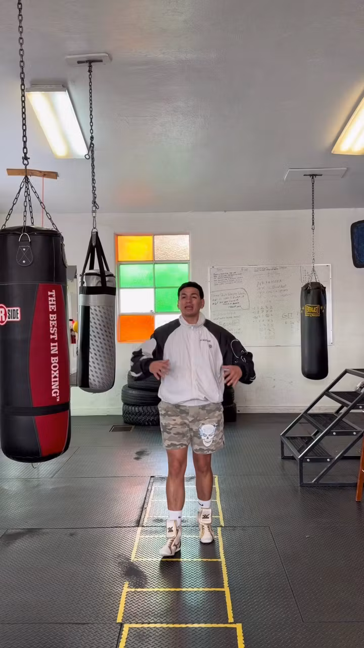 Eddie's Beginner Boxing System
