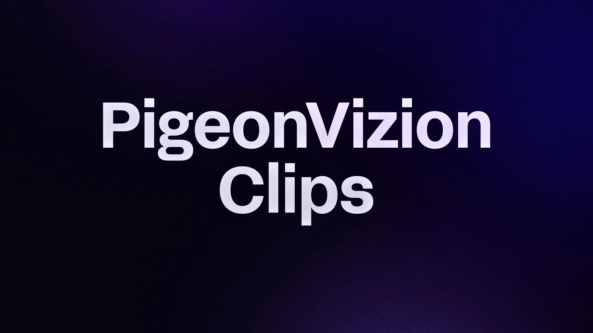 PigeonVizion Clips