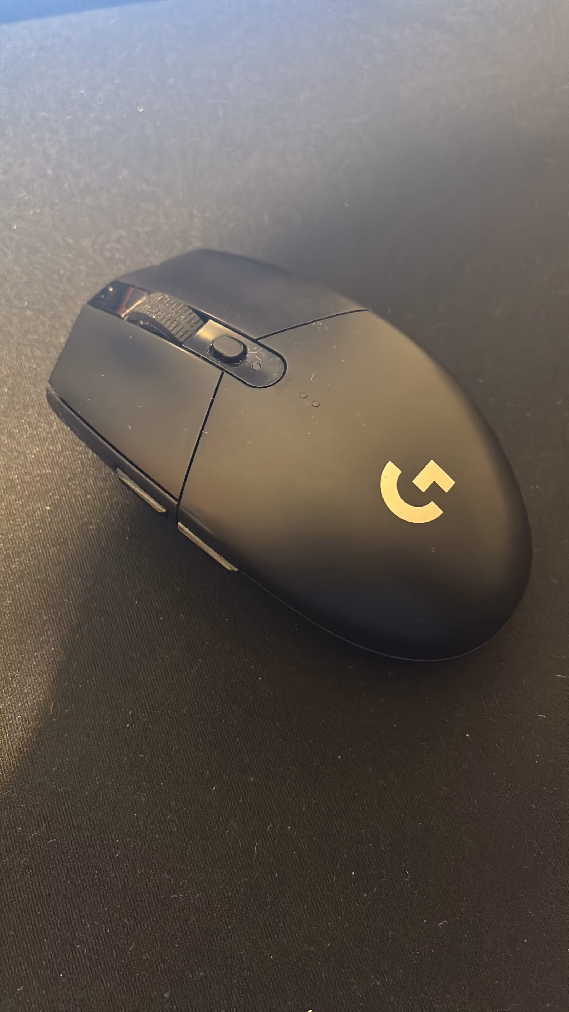 Foxigg 
