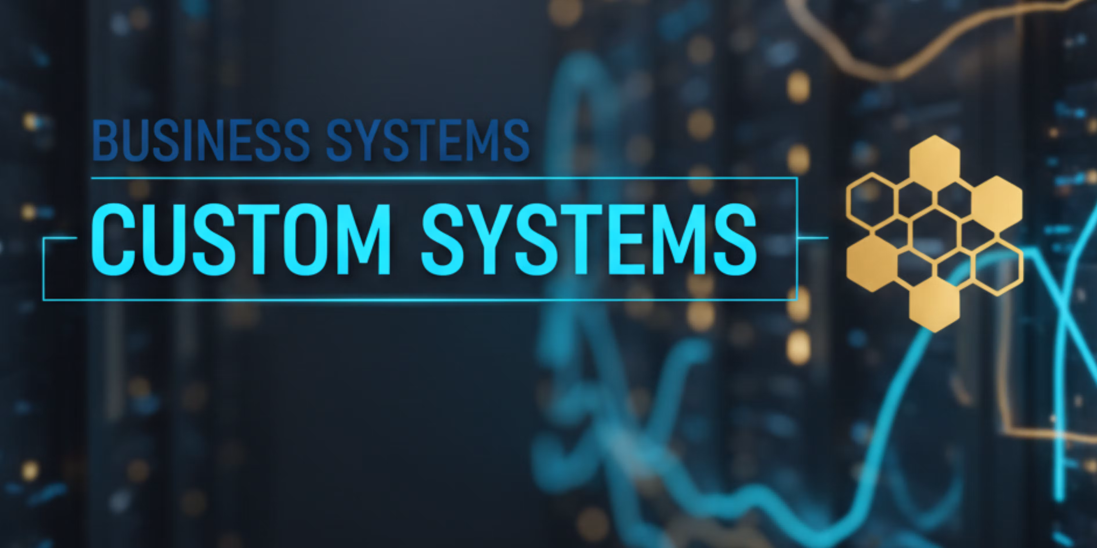Custom Business Systems 