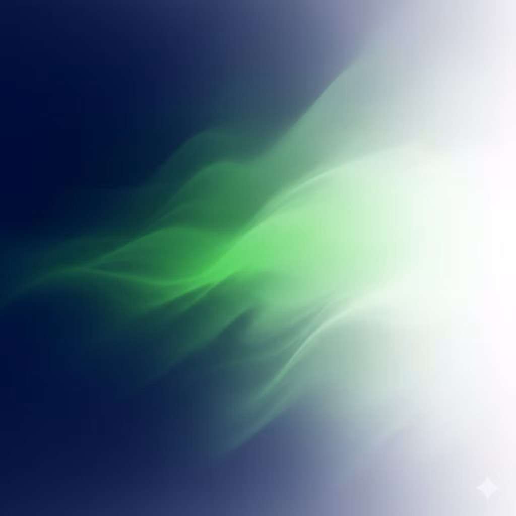 ZeroLaunch Co.