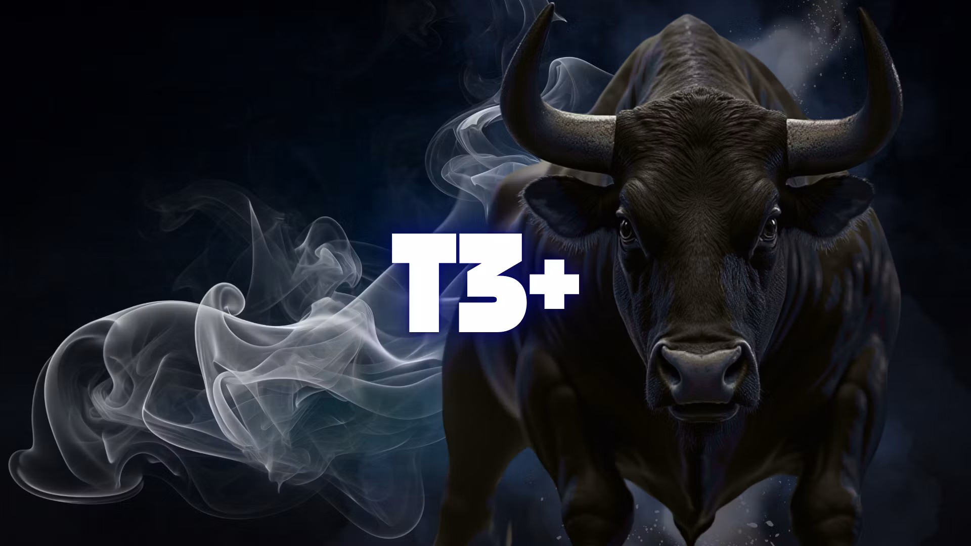 T3+ Free Discord 