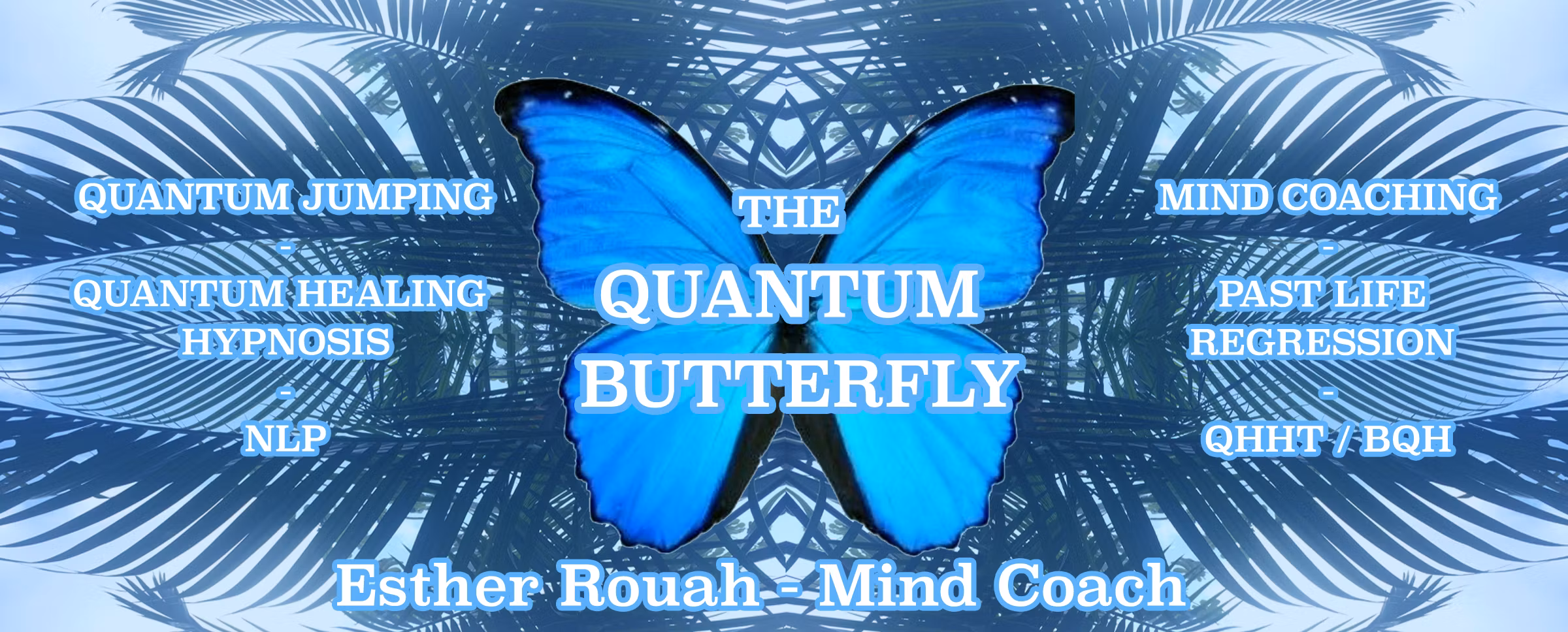 The Quantum Butterfly 