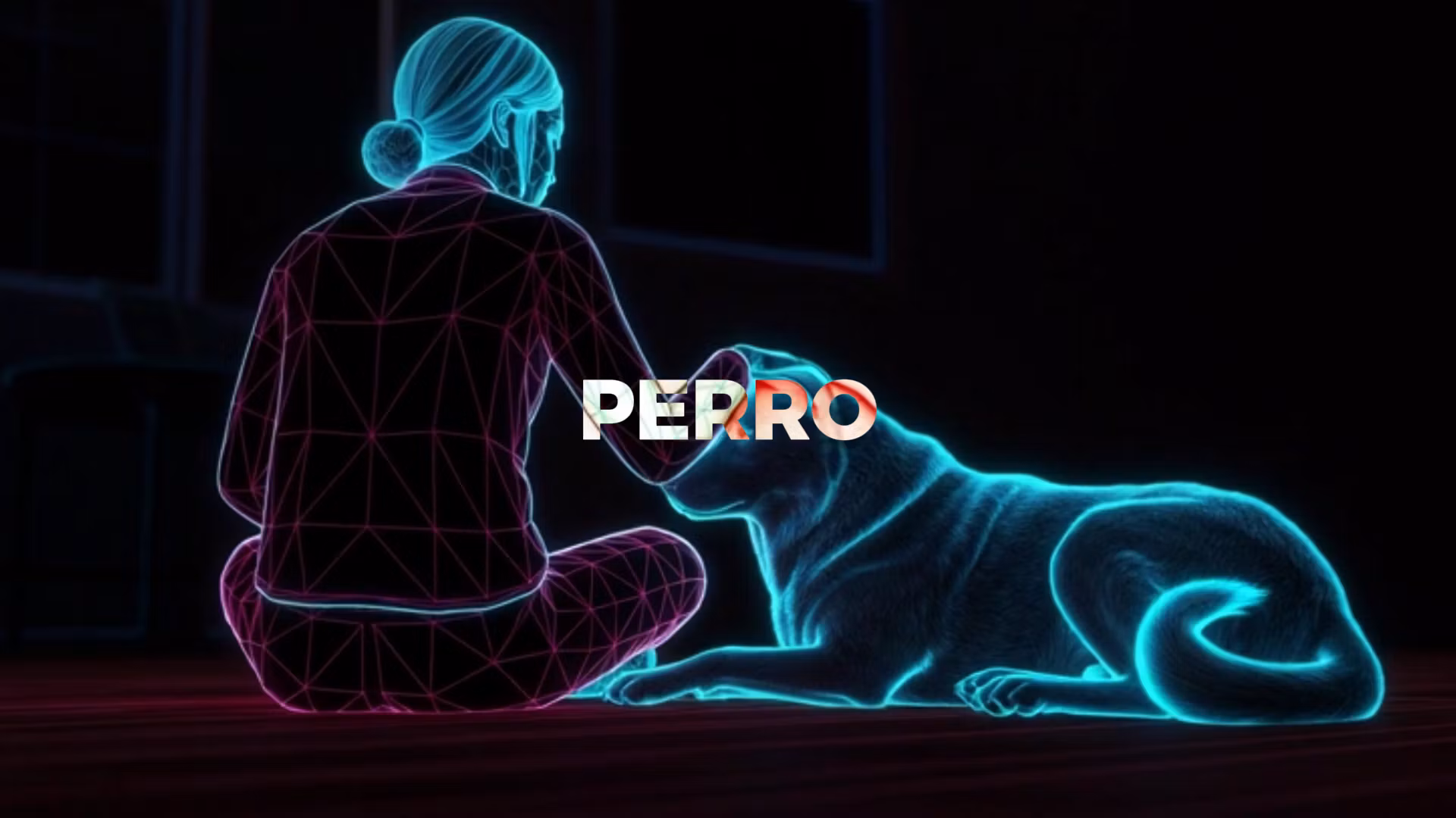 NICHO DE RAYOS X ANIMADA