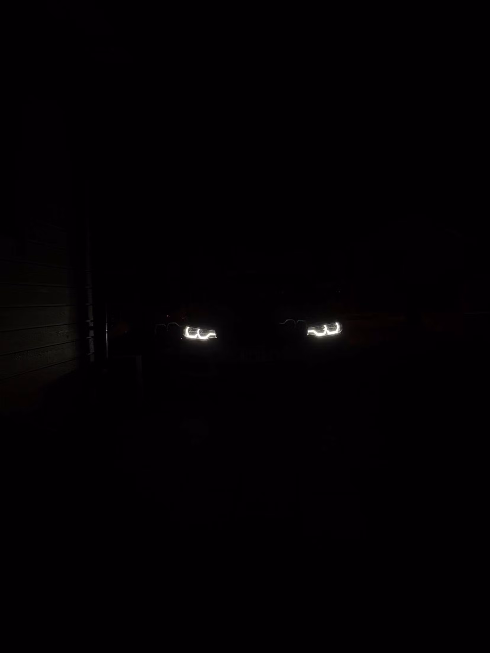 MSC cars