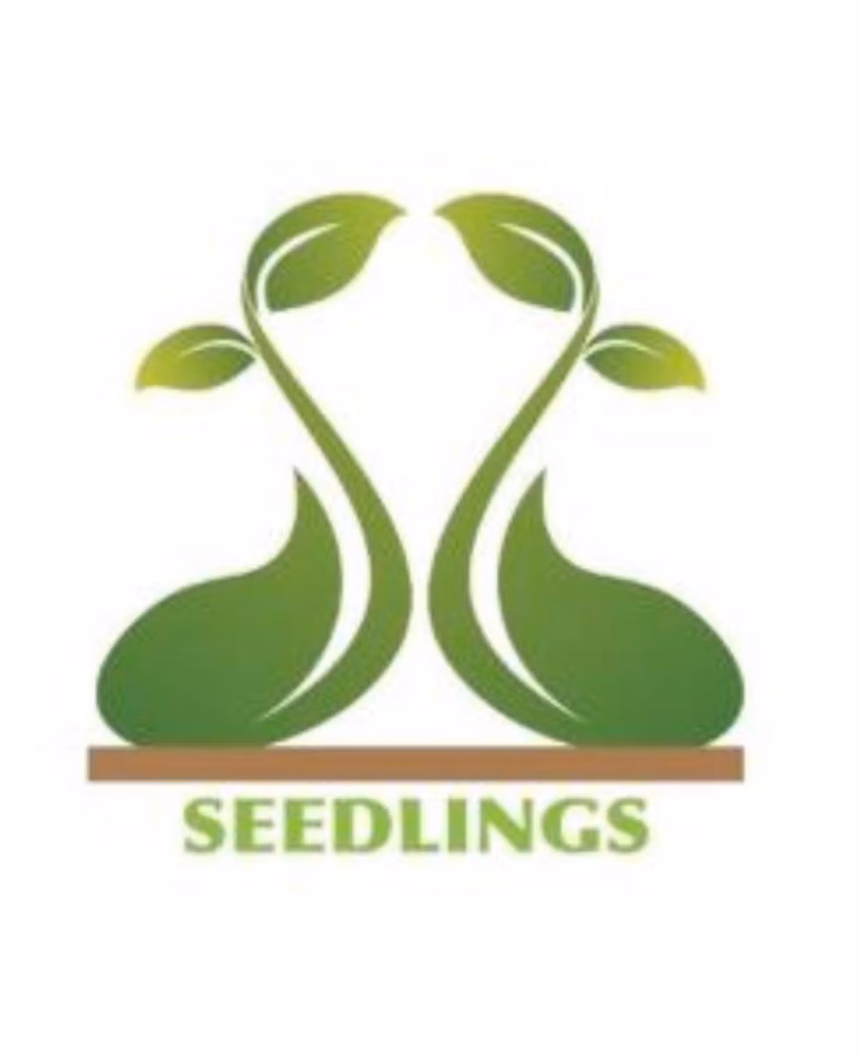 Seeedlings