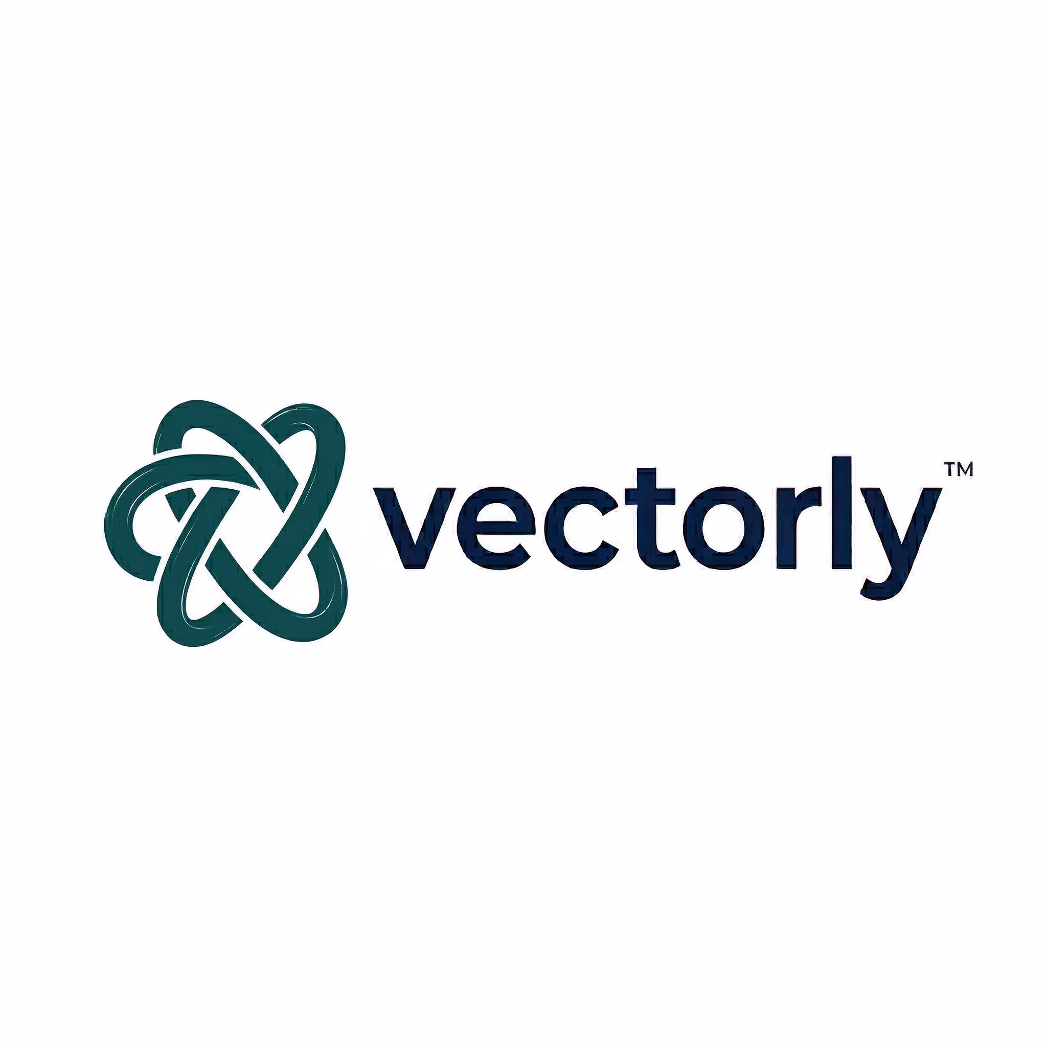 Vectorly.studio