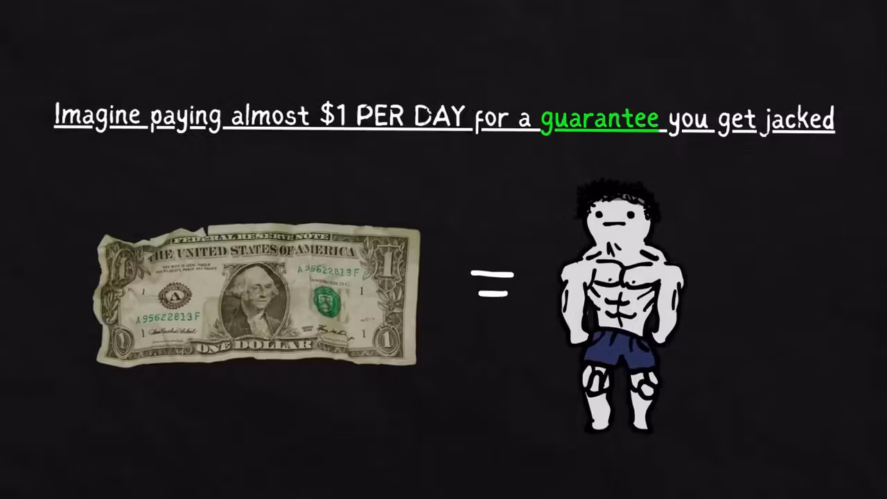 Premium Plan