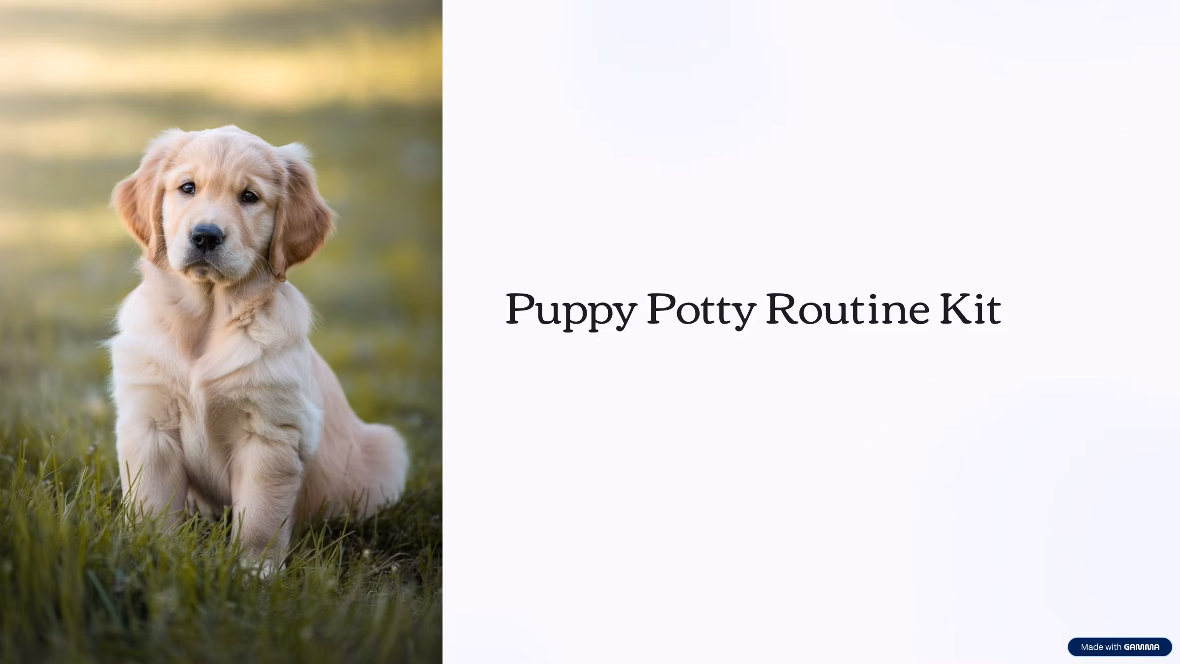 Puppy Potty Routine Kit
