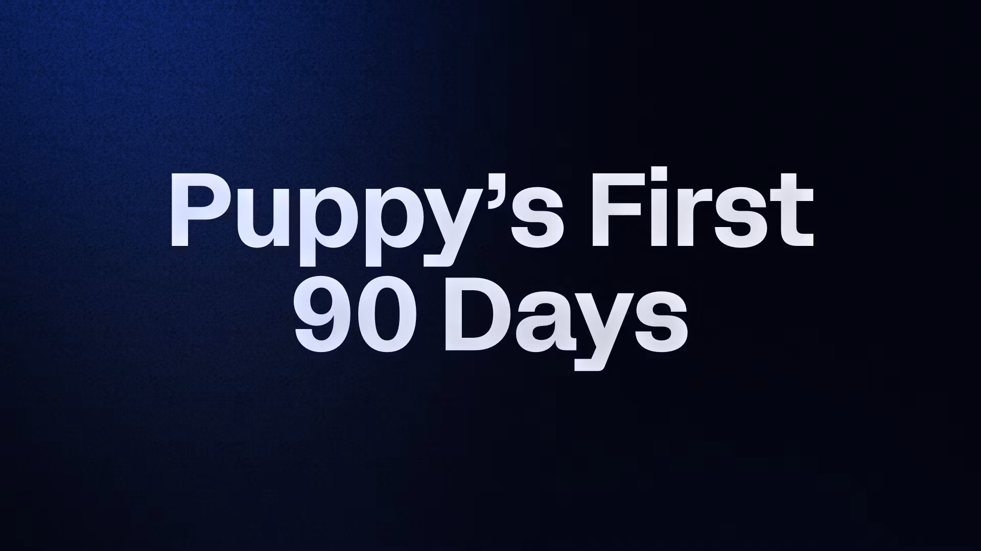 Puppy’s First 90 Days