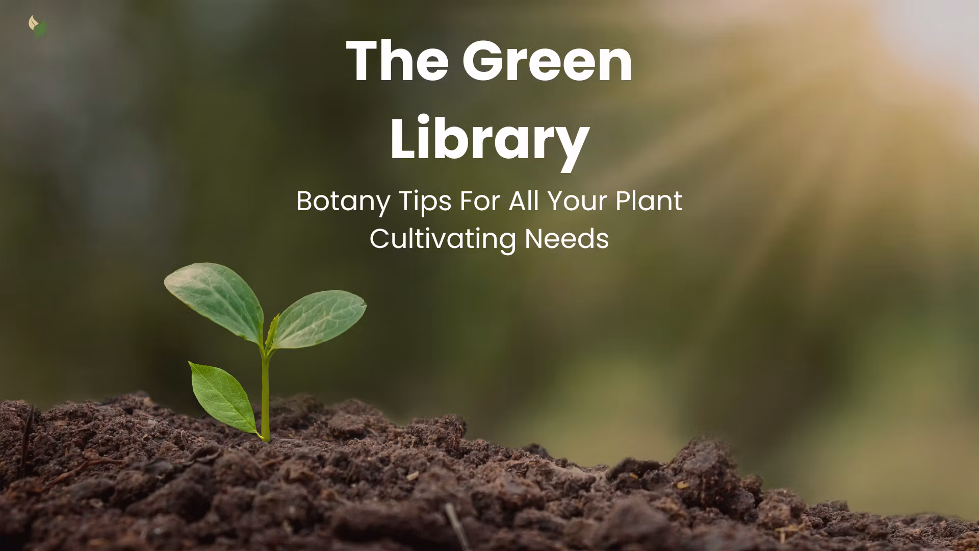 The Green Library