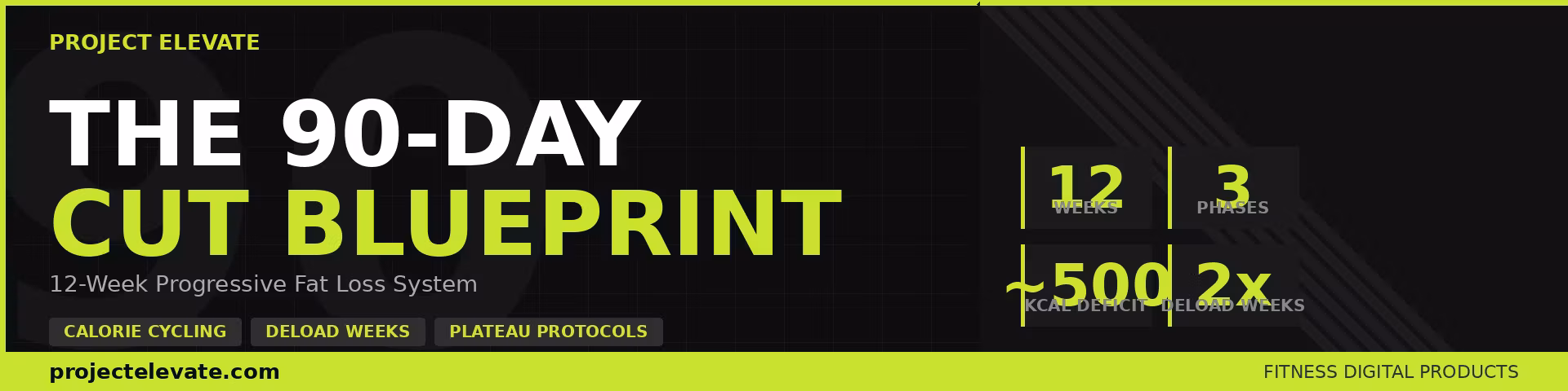 90 Day Cut Blueprint