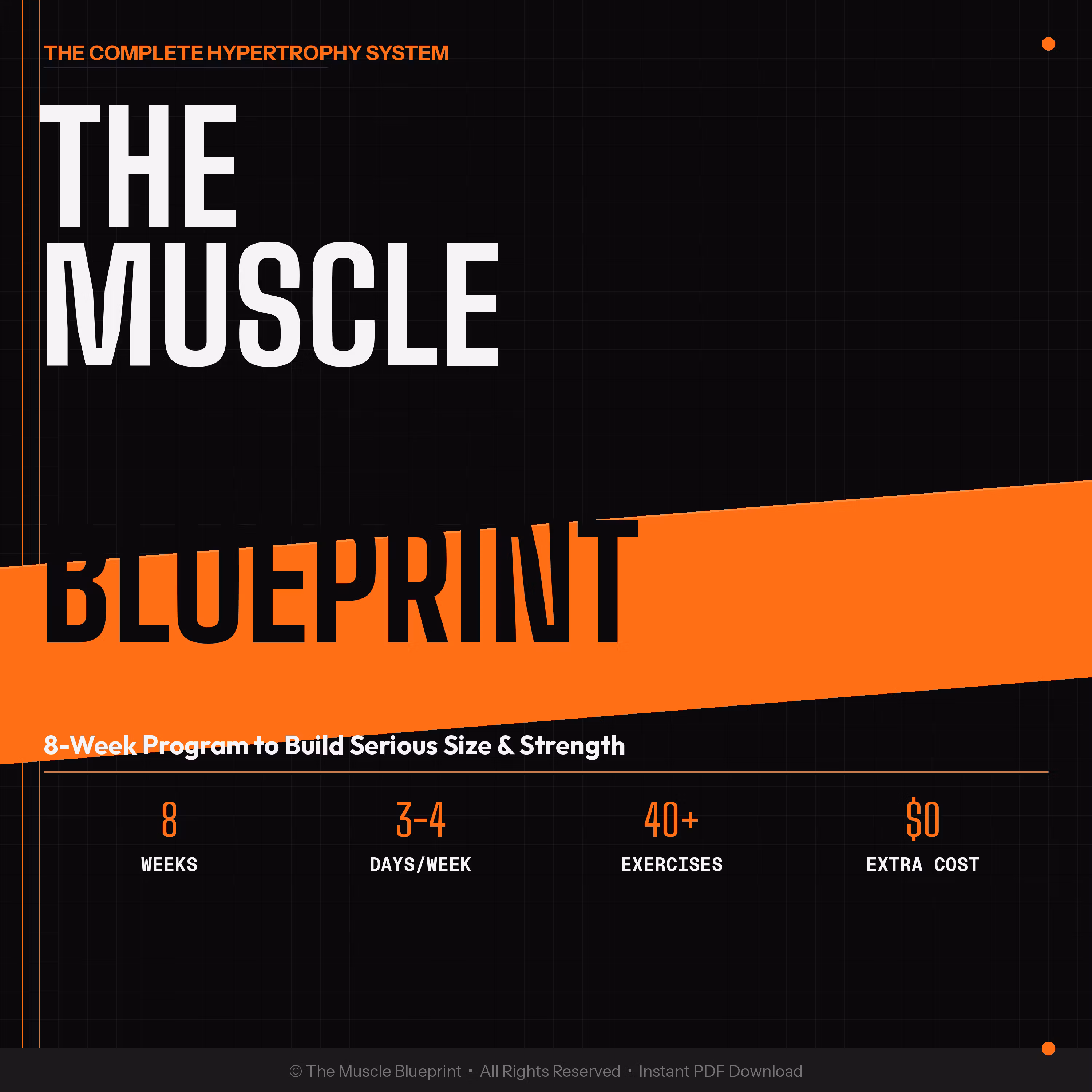 The Muscle Blueprint 