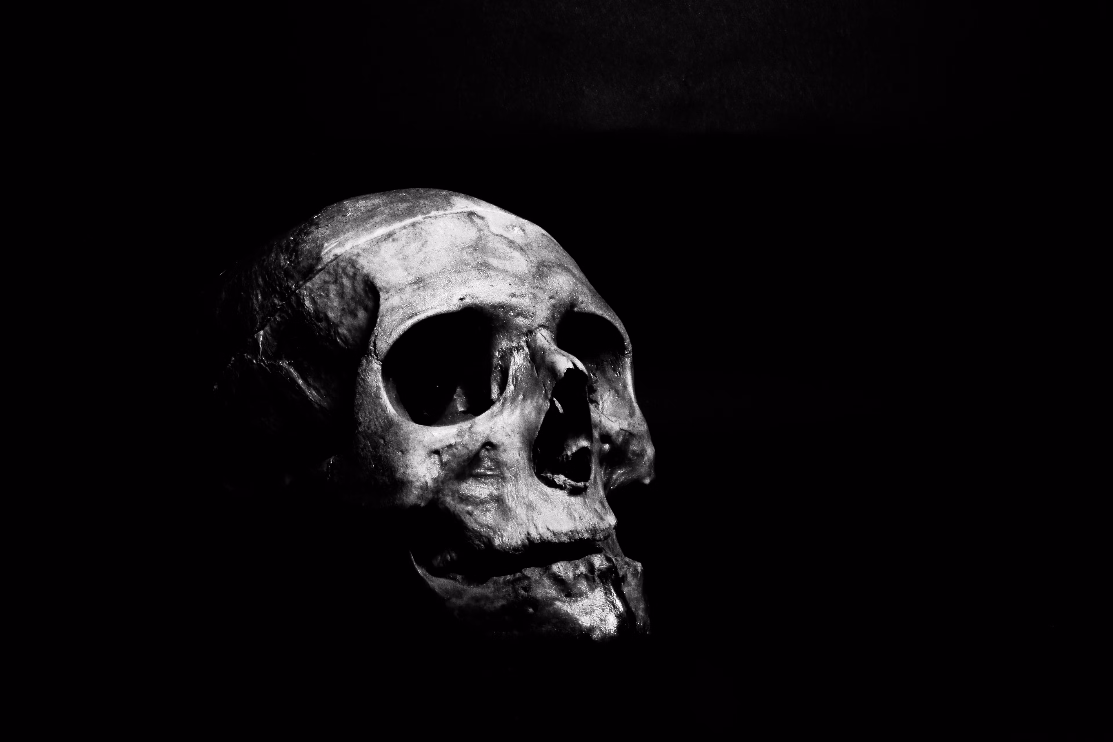 MEMENTO MORI 
