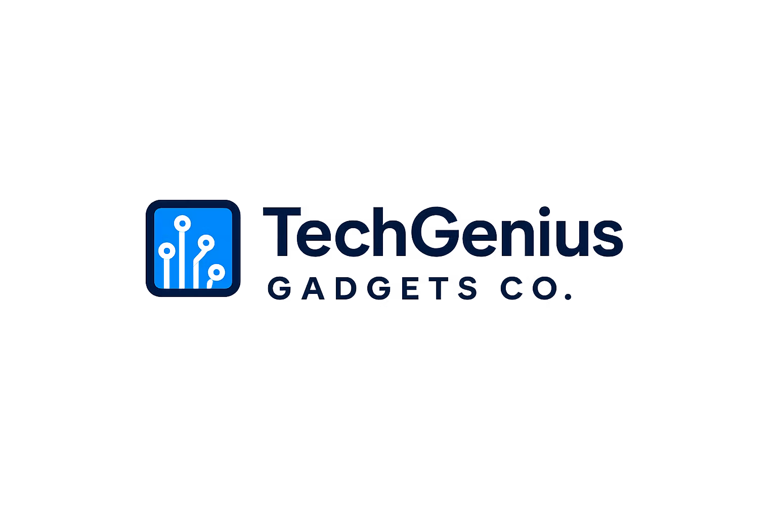 TechGenius Gadgets Co.