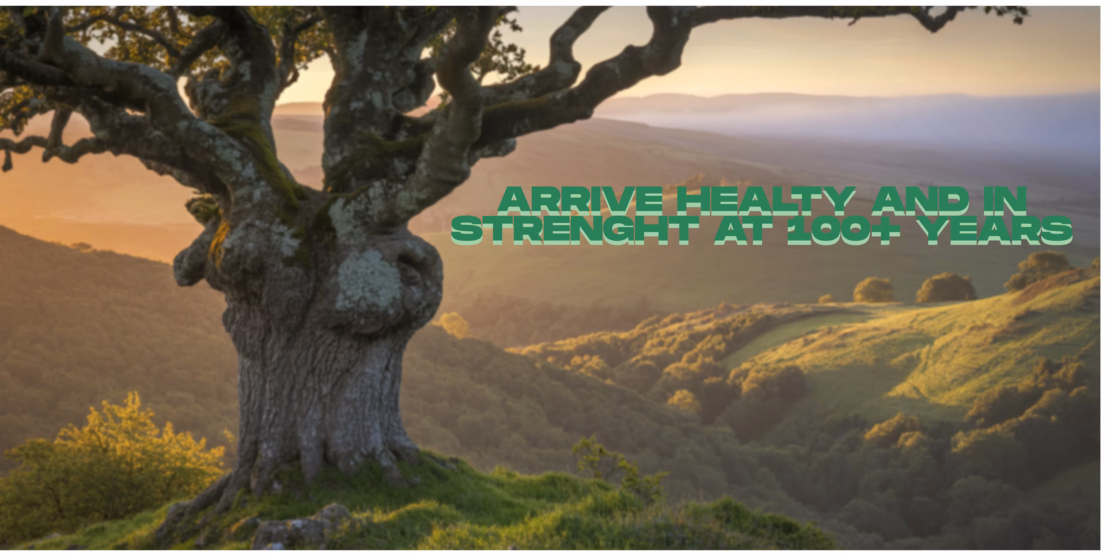 Health 3.0
