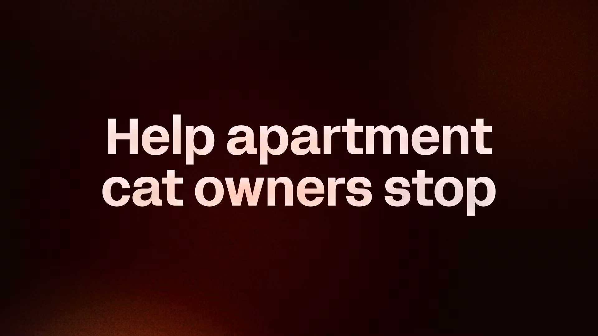 Apartment Cat Calm Guide