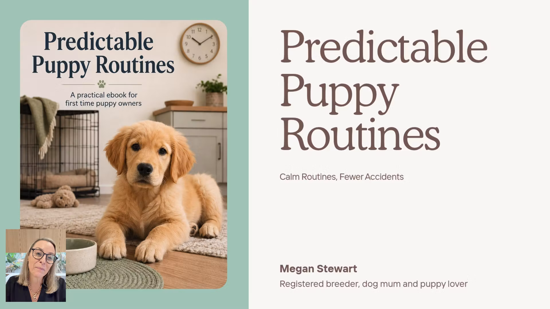 Predictable Puppy Routines