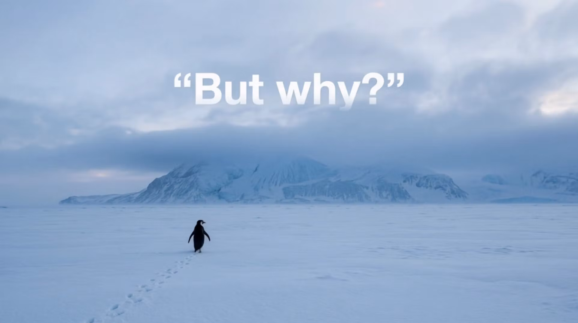 The Penguin Doesn’t Quit eBook