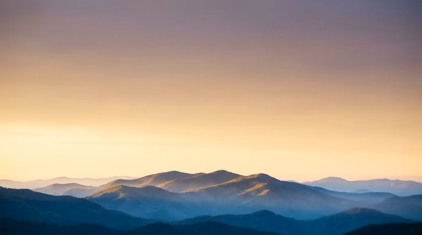 Blue Mountain Collective