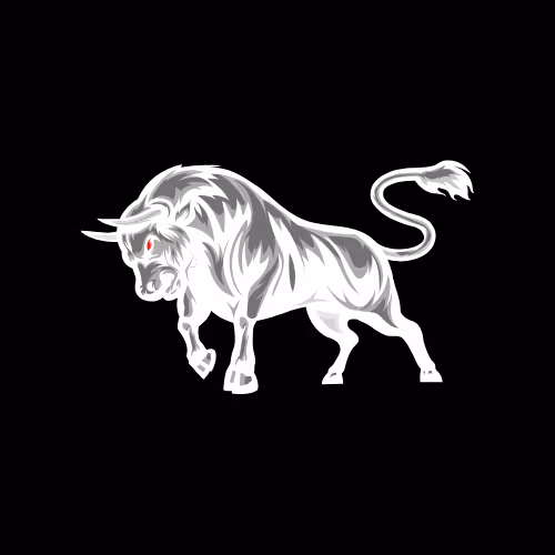 Bullish Traders Club