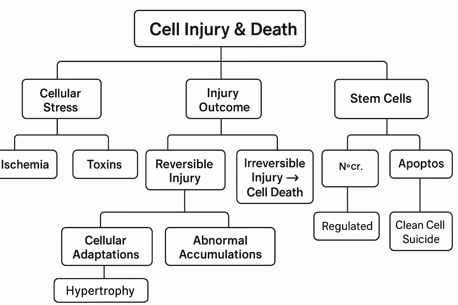 cell injury and death 