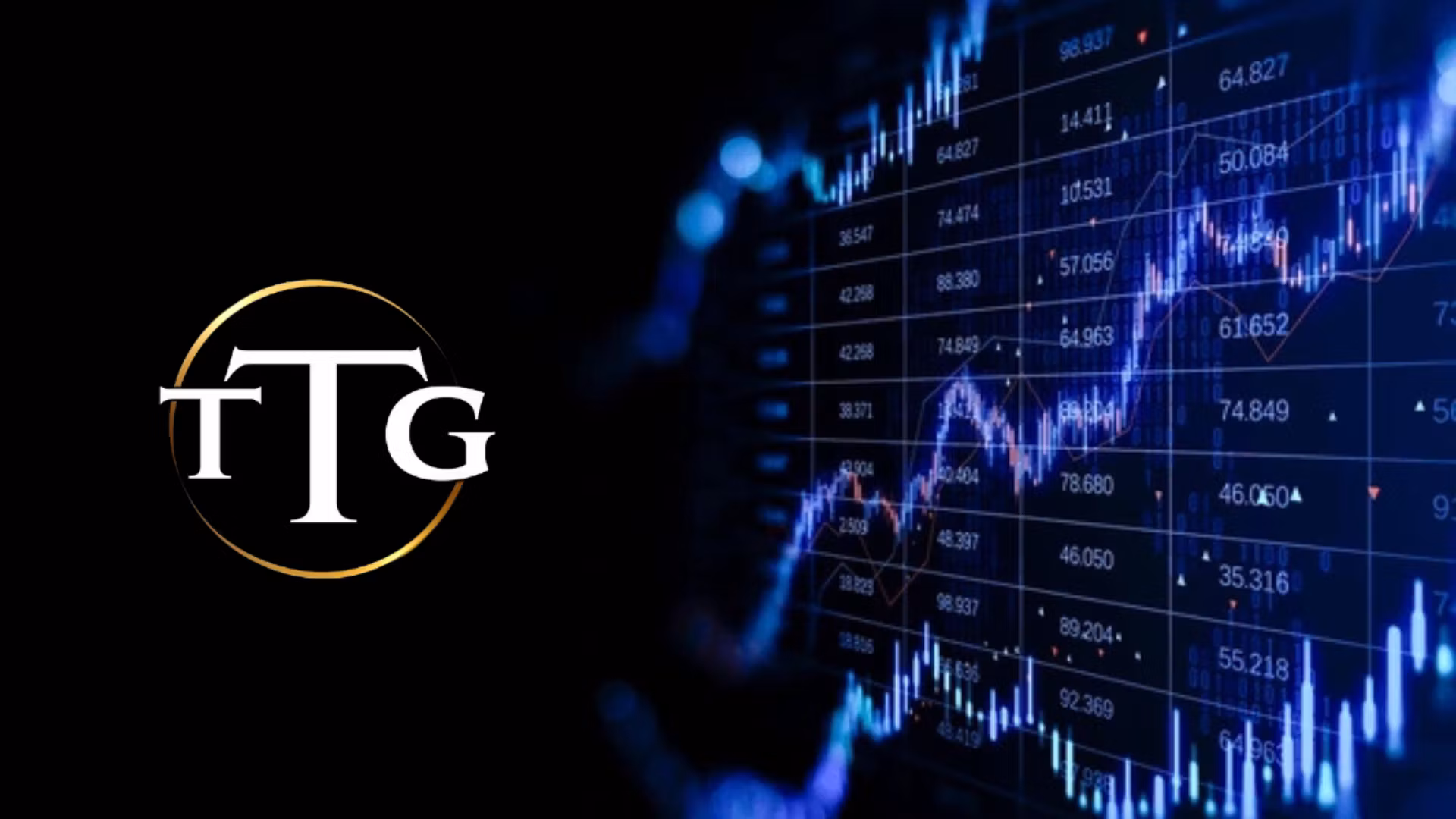 TTG Investments